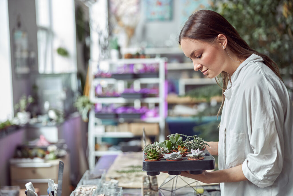 Flourist shop with different kinds of dryed flowers